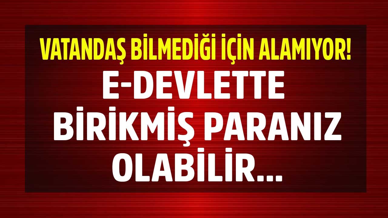E-Devlet üzerinden alacağınız binlerce liranız olabilir!